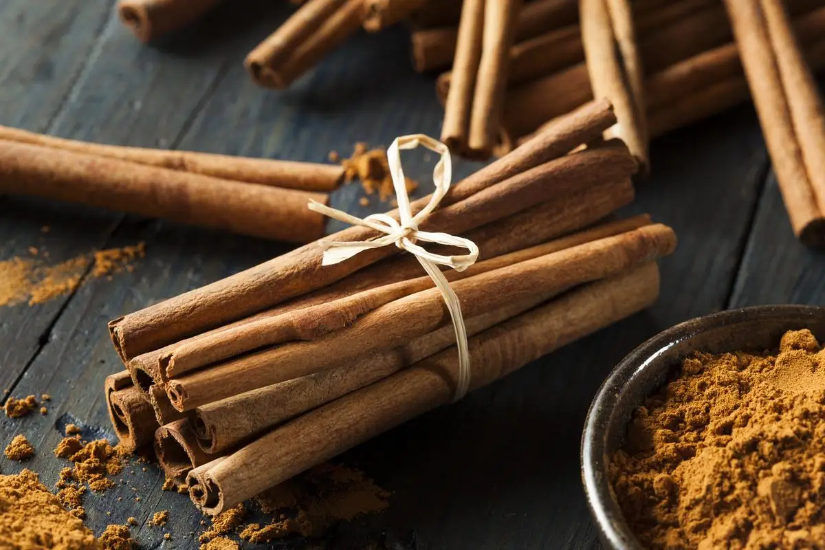 Gymnema vs Cannelle, ce que les études disent ?